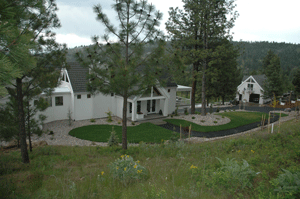 2011-olson1.gif