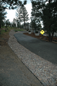 2011-olson2.gif