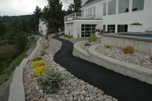 2011-olson3.gif