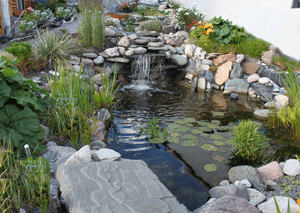 img_0174.gif